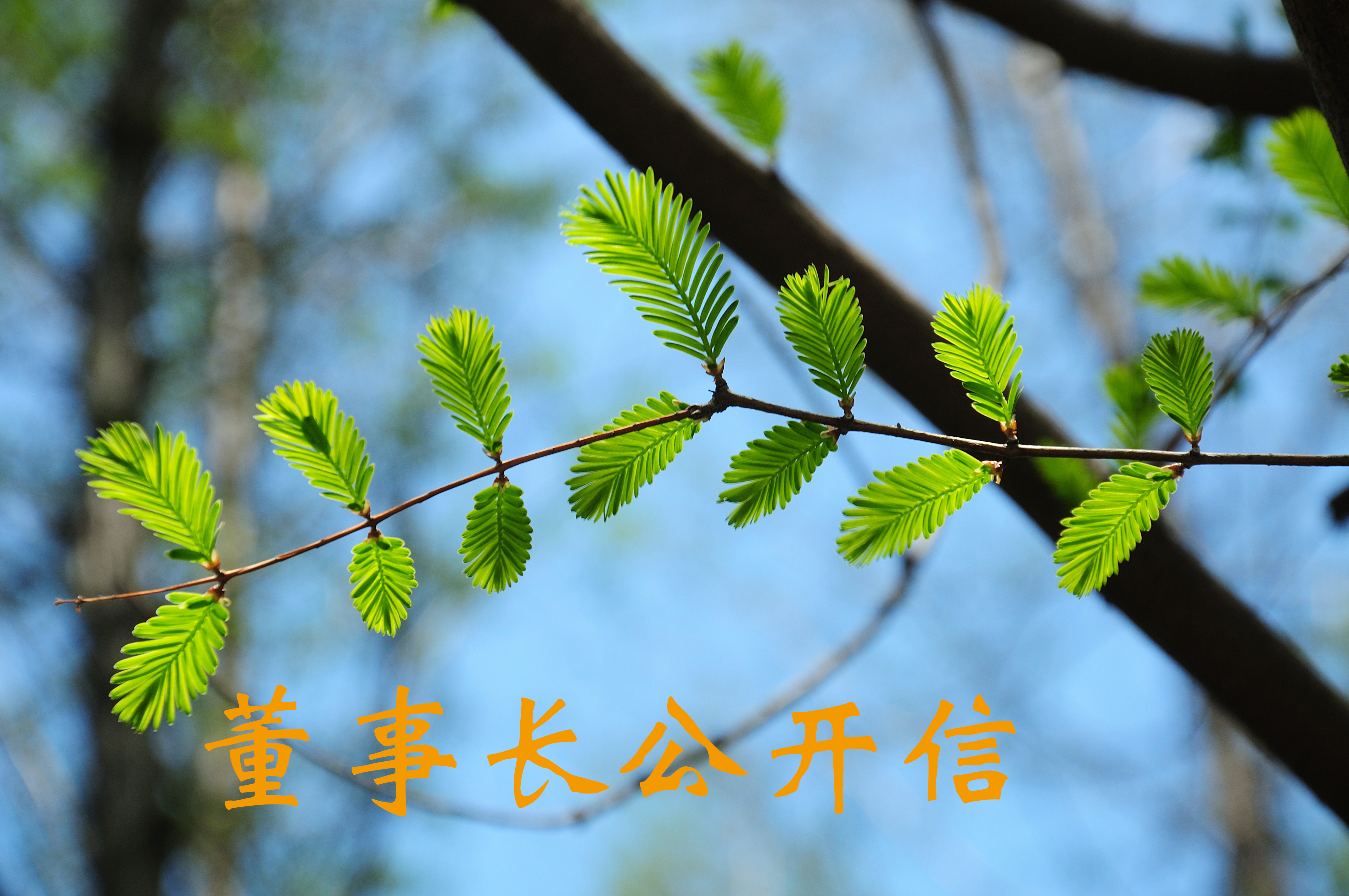 董事長(zhǎng)公開信720x480.jpg